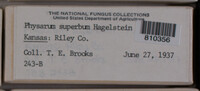 Image Associated With the Occurence
